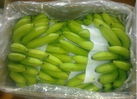 卡文迪什香蕉 — 纸箱