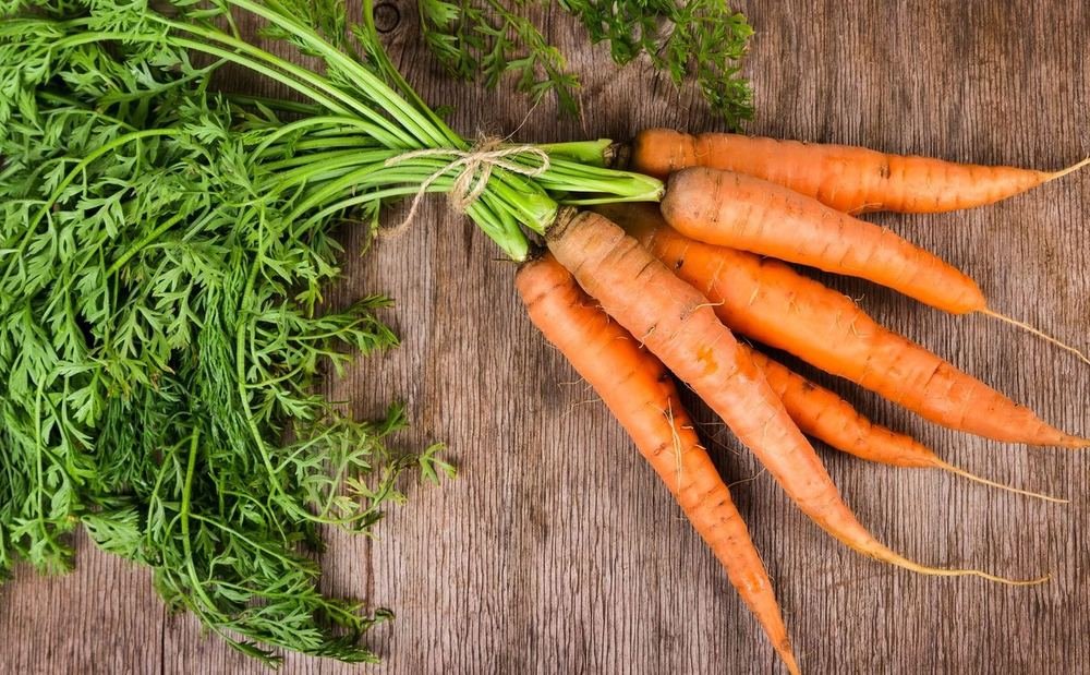 Carrot