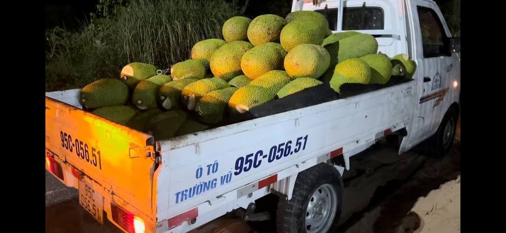 Jackfruit