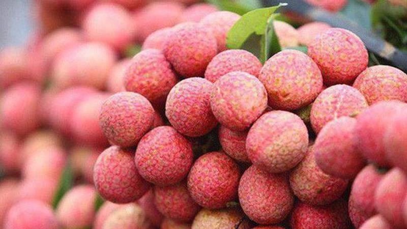 Lychee
