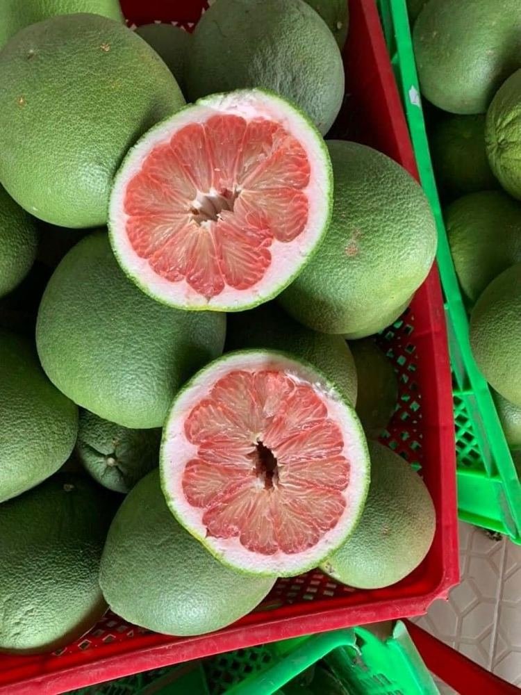 Pomelo