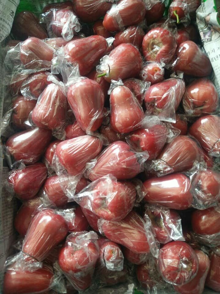 Water Apple